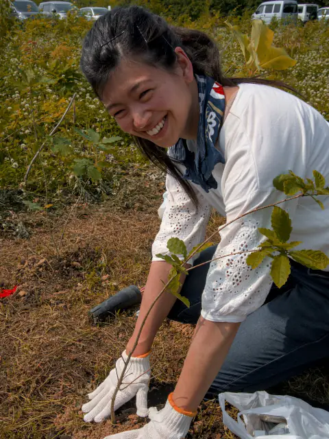tree planting