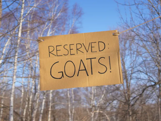 sign goats